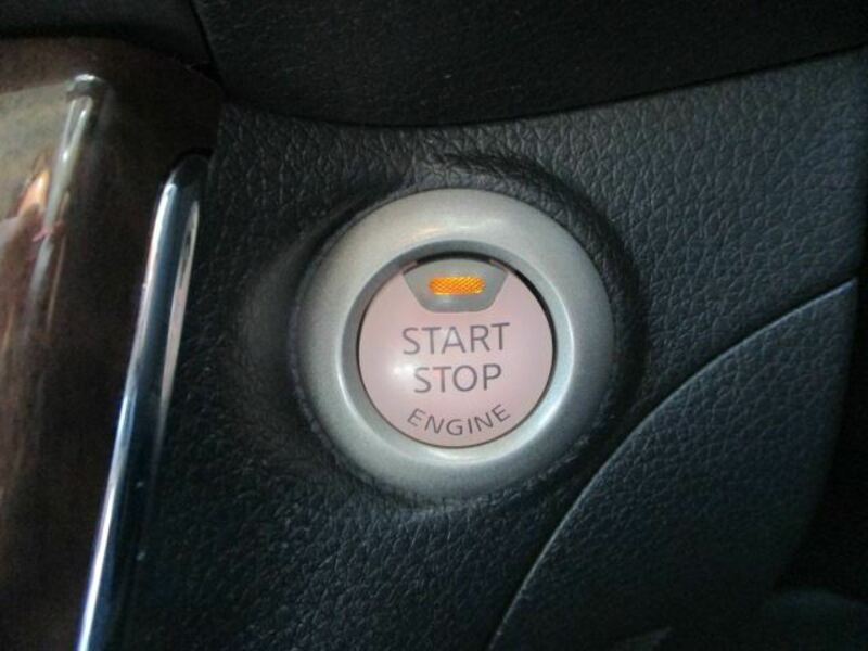 BLUEBIRD SYLPHY