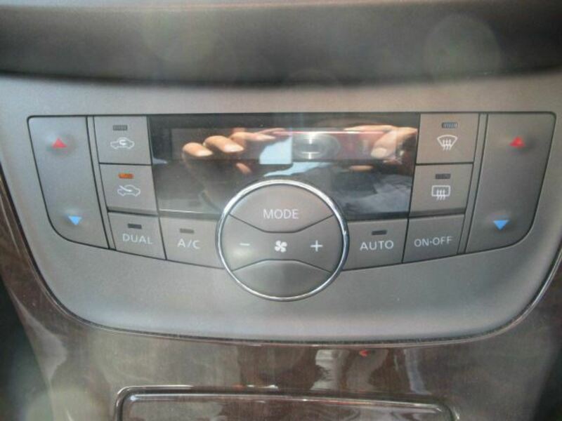 BLUEBIRD SYLPHY
