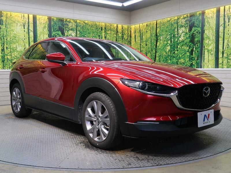 CX-30-49