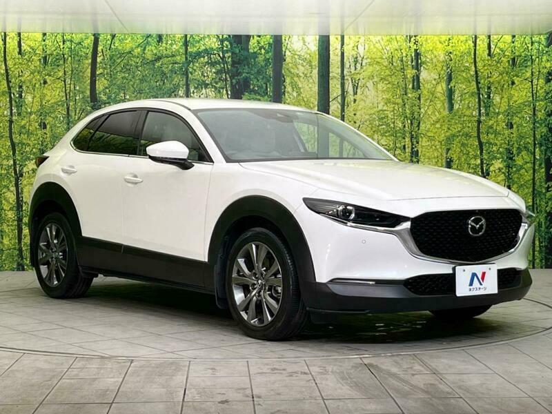 CX-30