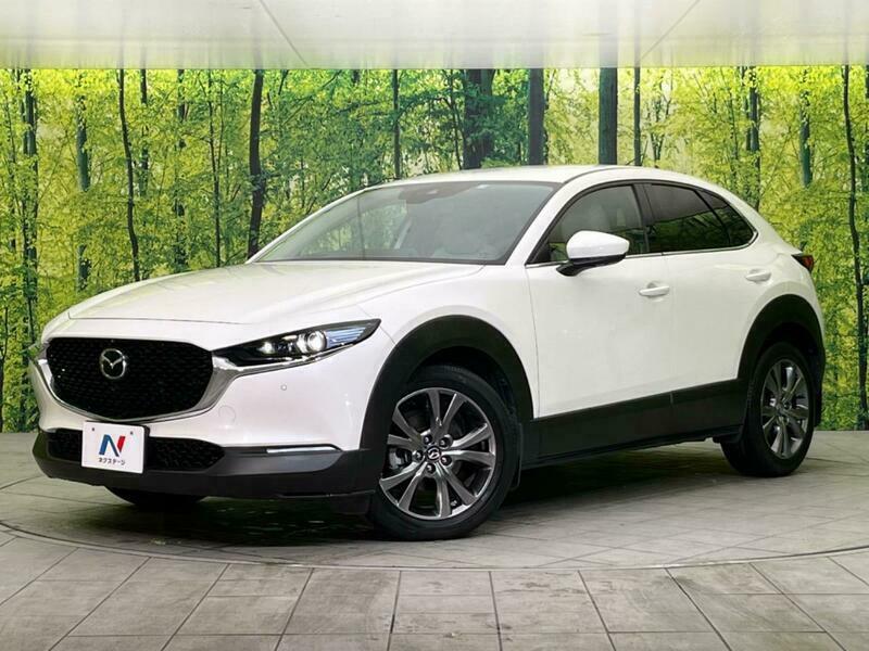 CX-30