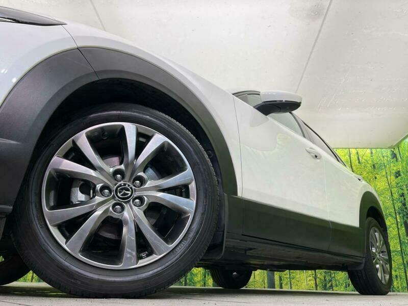 CX-30