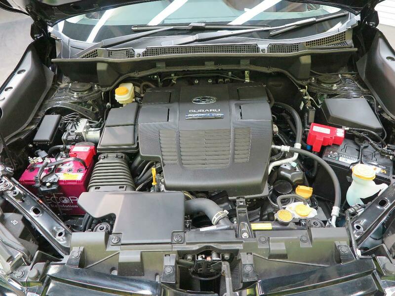 FORESTER