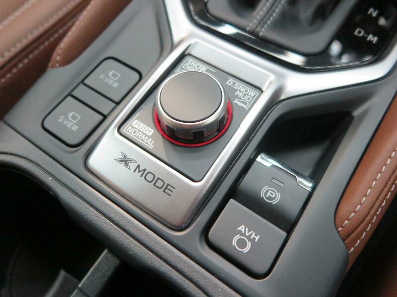 FORESTER