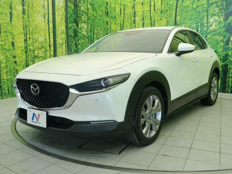 CX-30-13