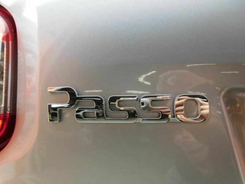 PASSO-43