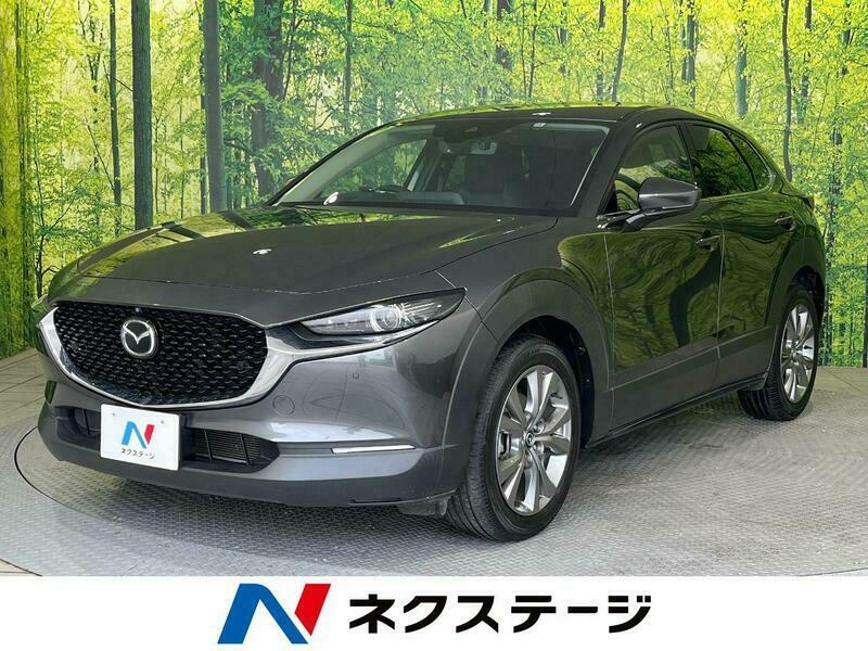 CX-30