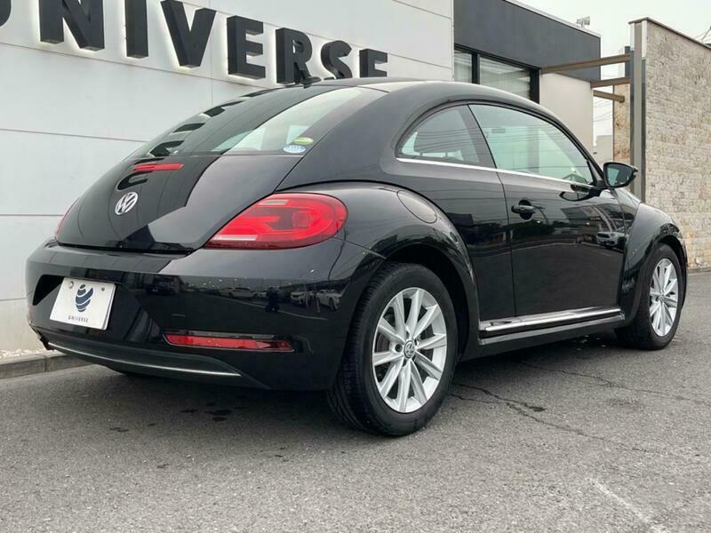 THE BEETLE