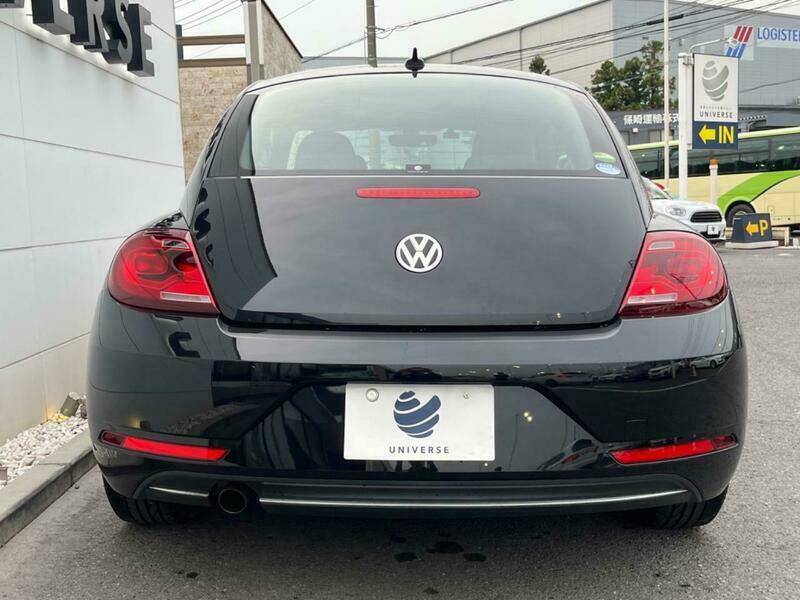 THE BEETLE
