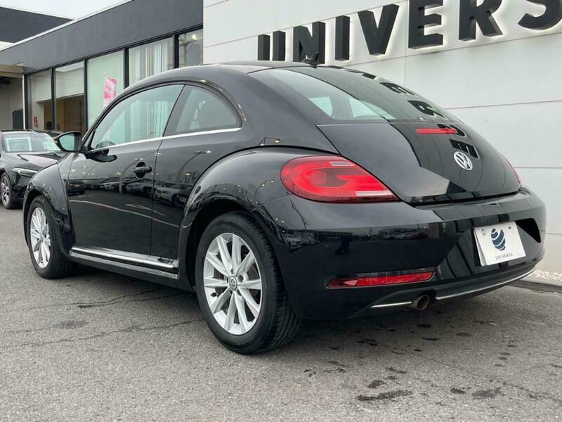 THE BEETLE