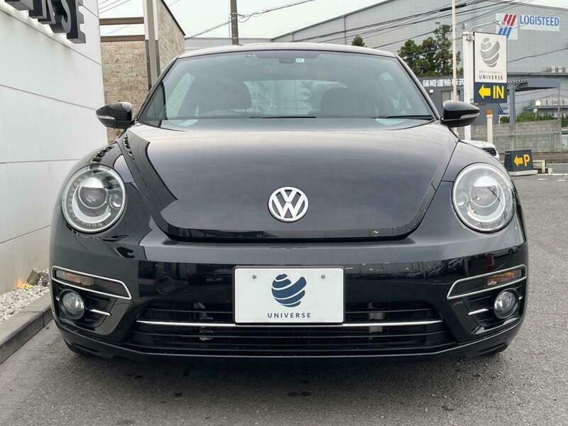 THE BEETLE