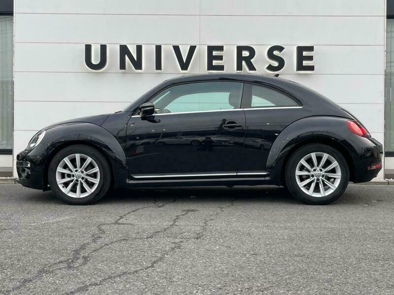 THE BEETLE