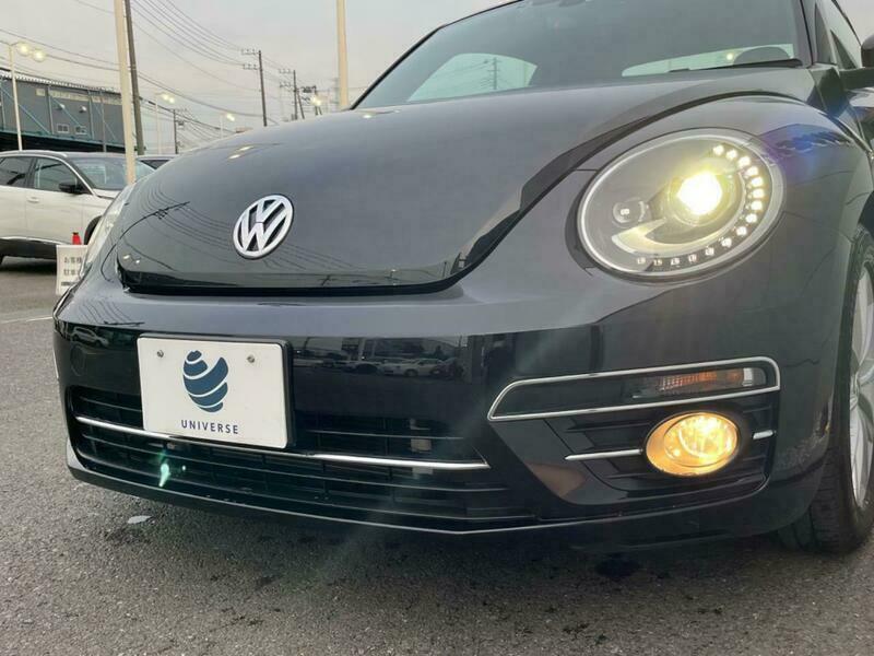 THE BEETLE