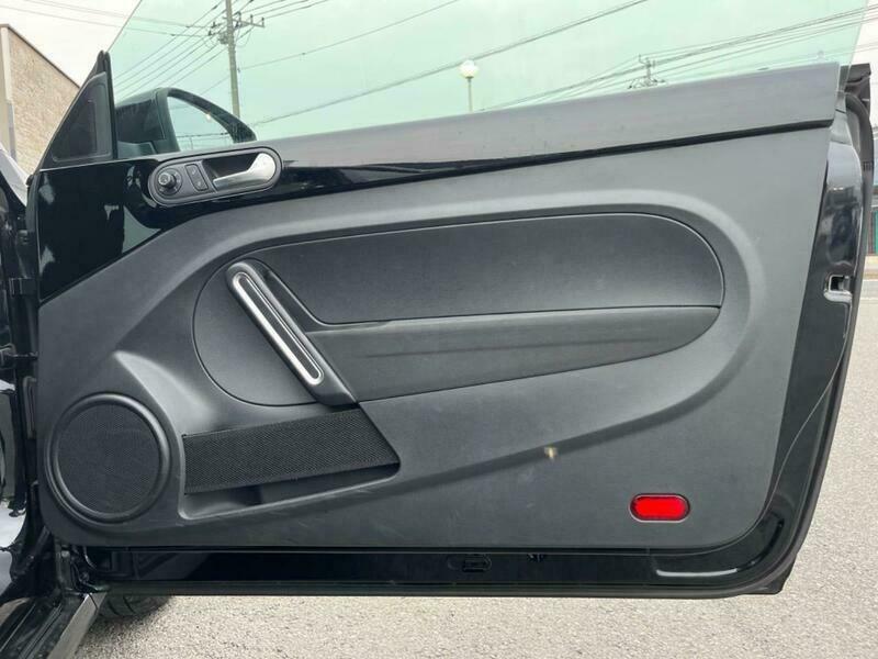 THE BEETLE