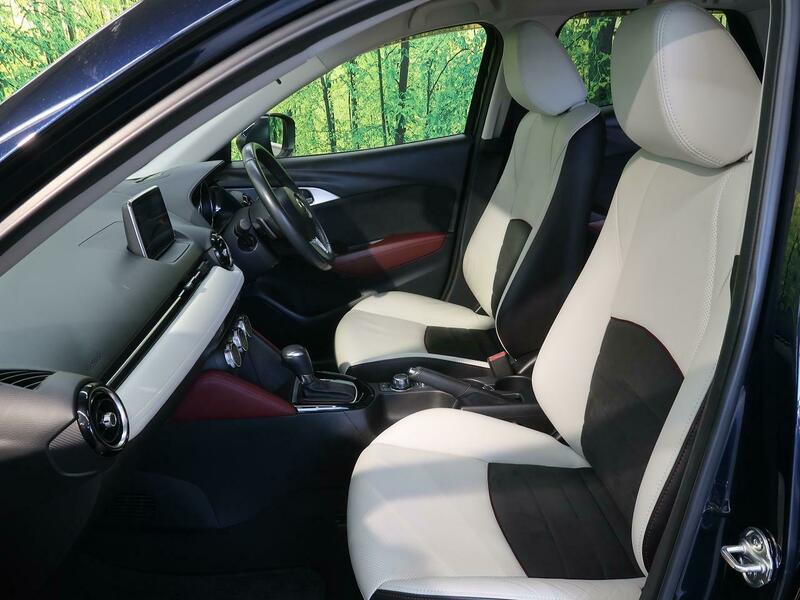 CX-3-29