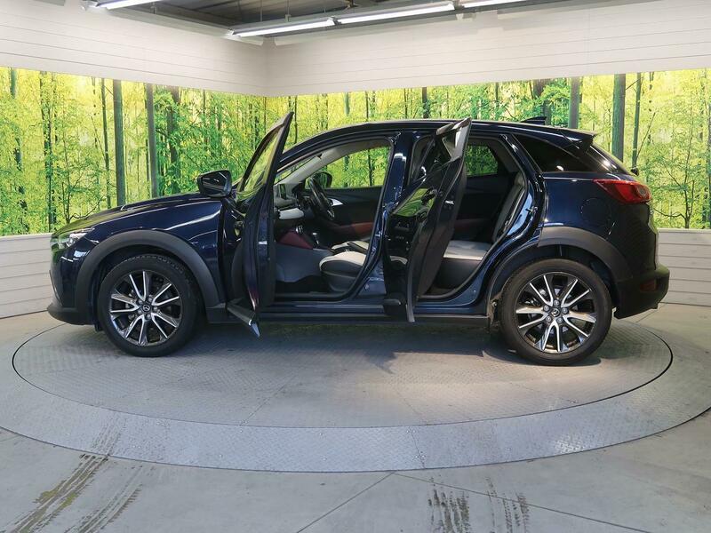 CX-3-6