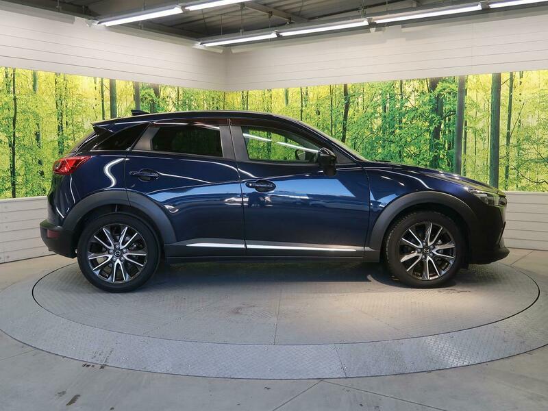 CX-3-24