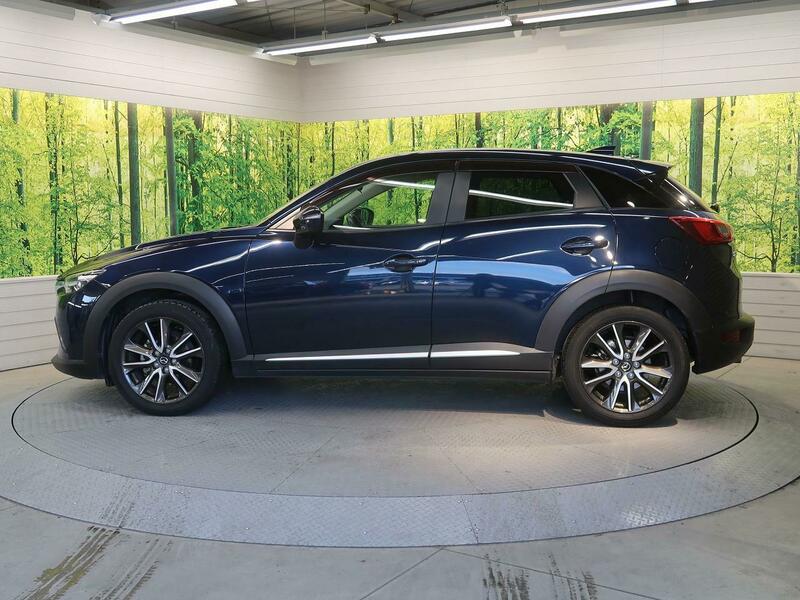 CX-3-33