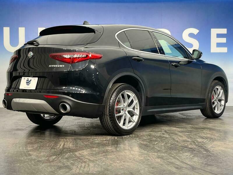 STELVIO