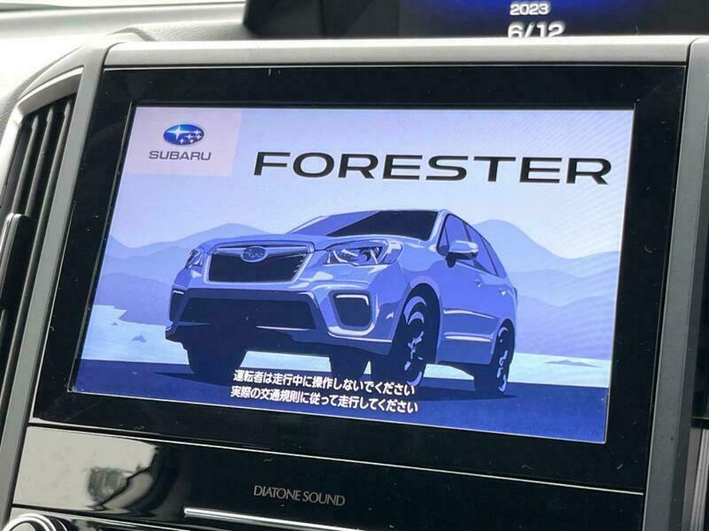 FORESTER