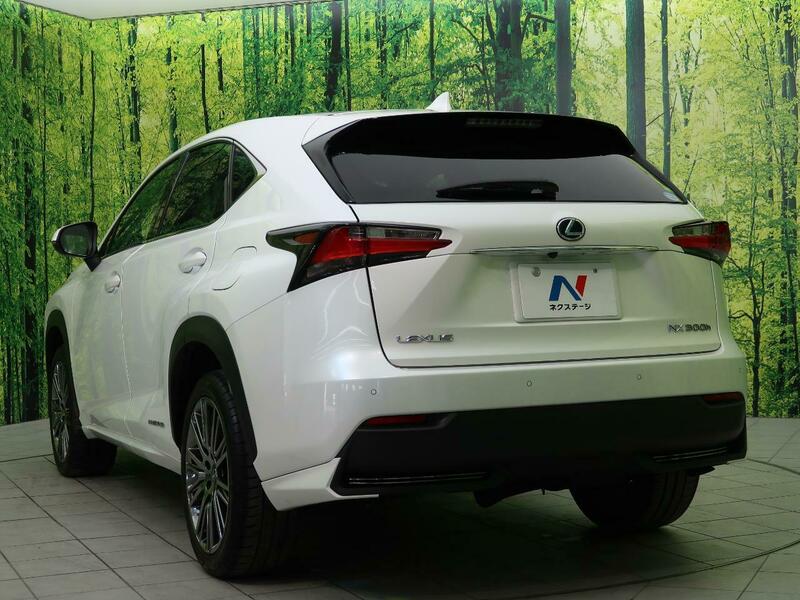 NX
