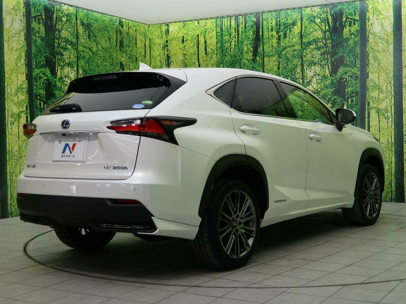 NX