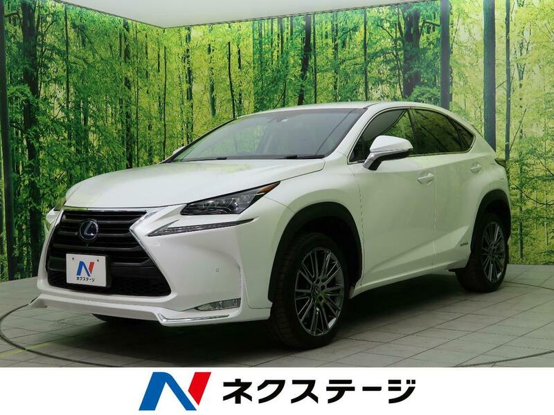 NX
