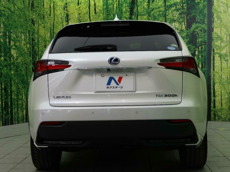 NX