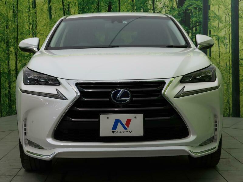 NX