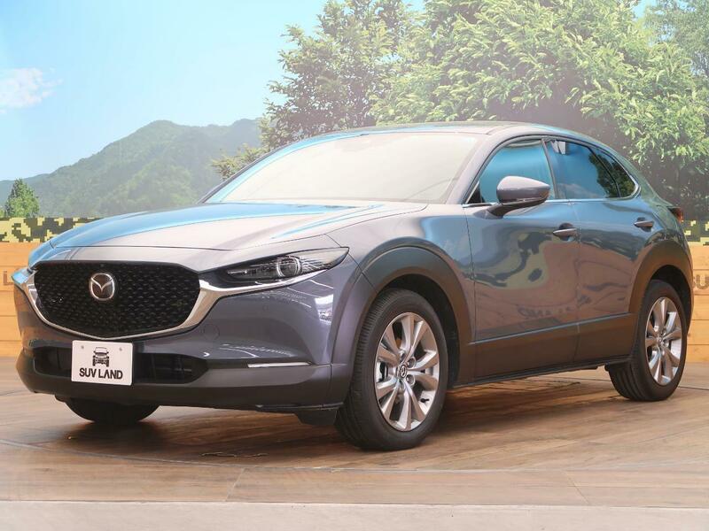 CX-30