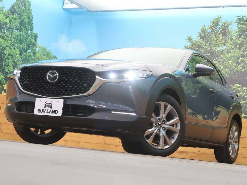 CX-30
