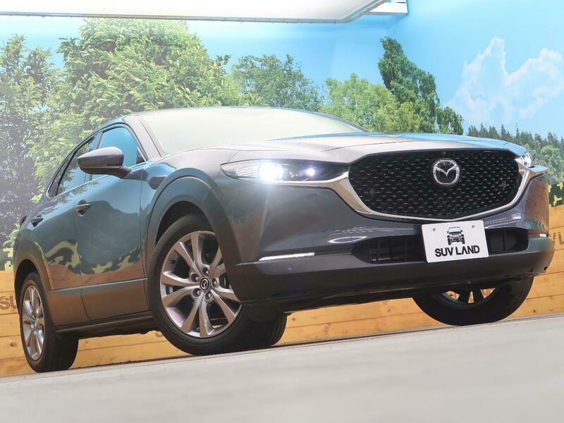 CX-30