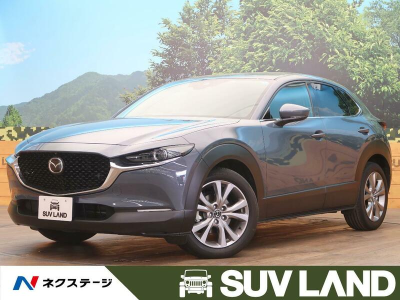 CX-30