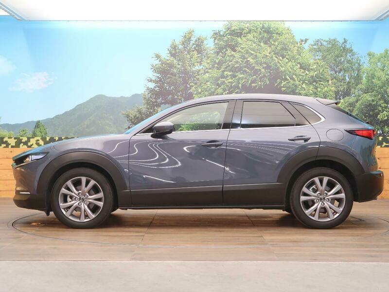 CX-30