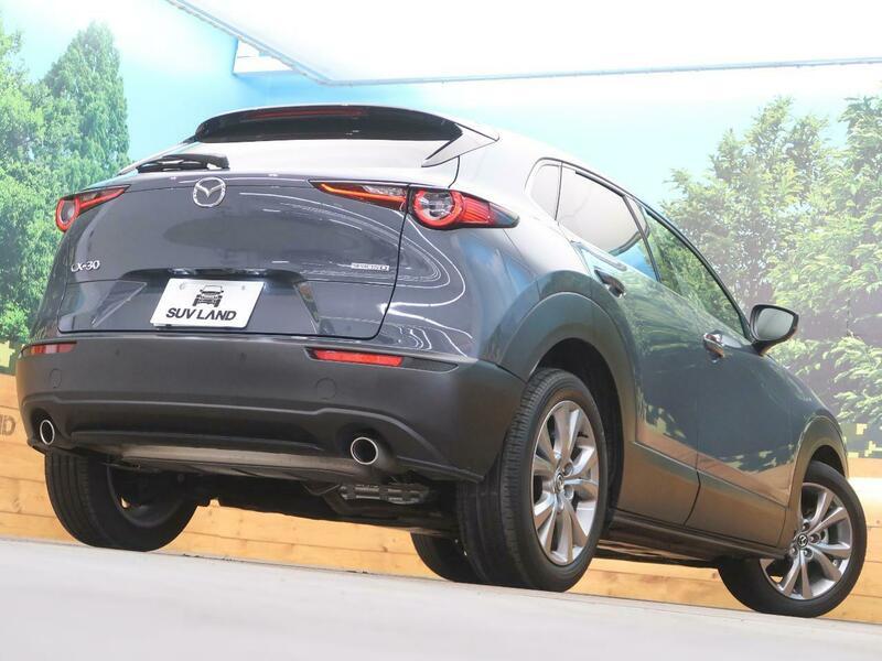 CX-30