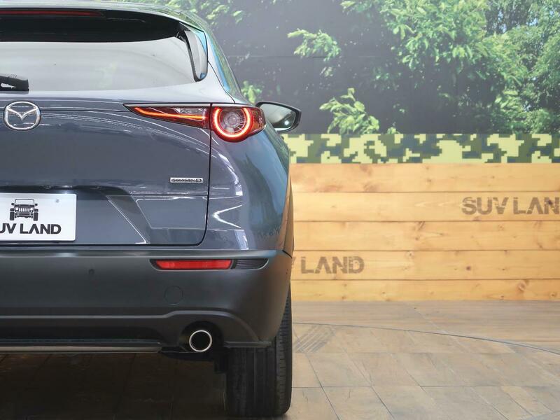 CX-30