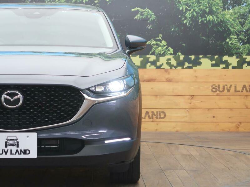 CX-30