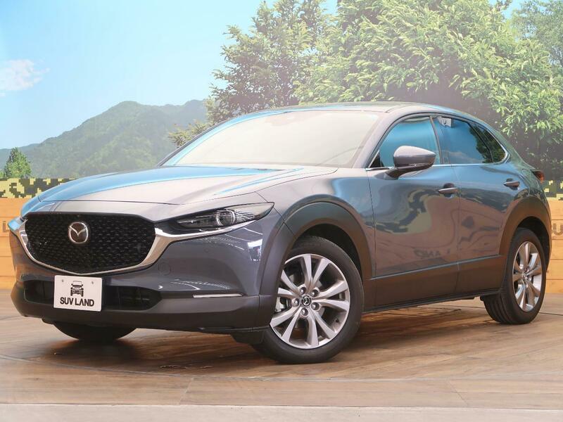 CX-30