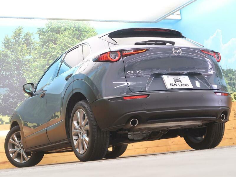 CX-30