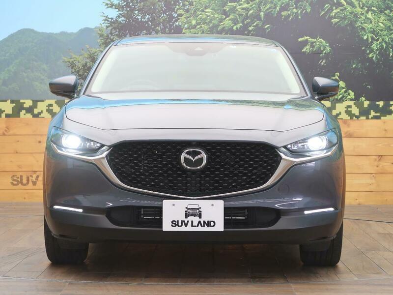 CX-30