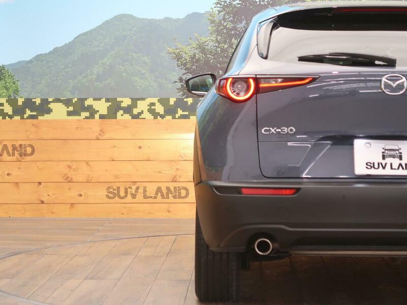CX-30