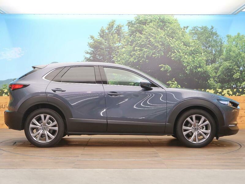 CX-30