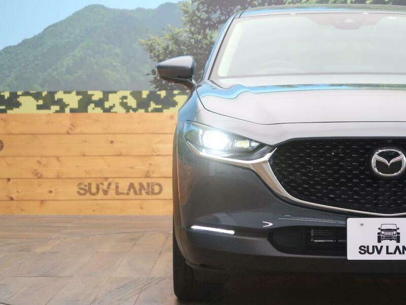 CX-30