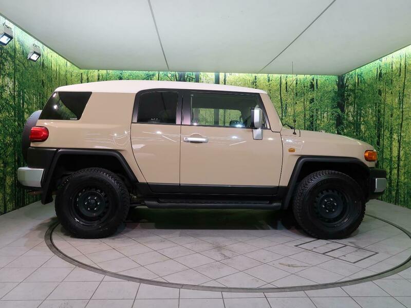 FJ CRUISER