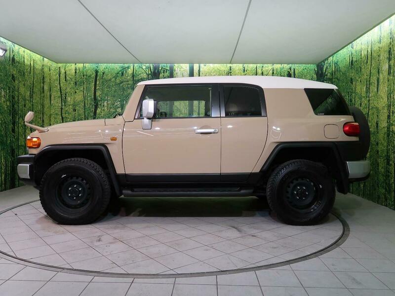 FJ CRUISER