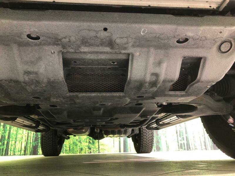 FJ CRUISER