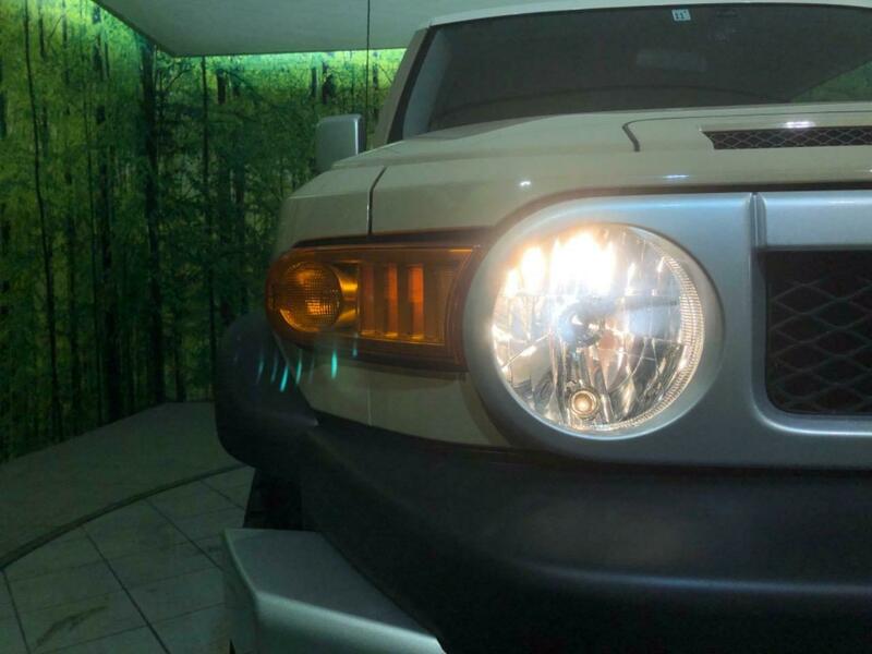 FJ CRUISER