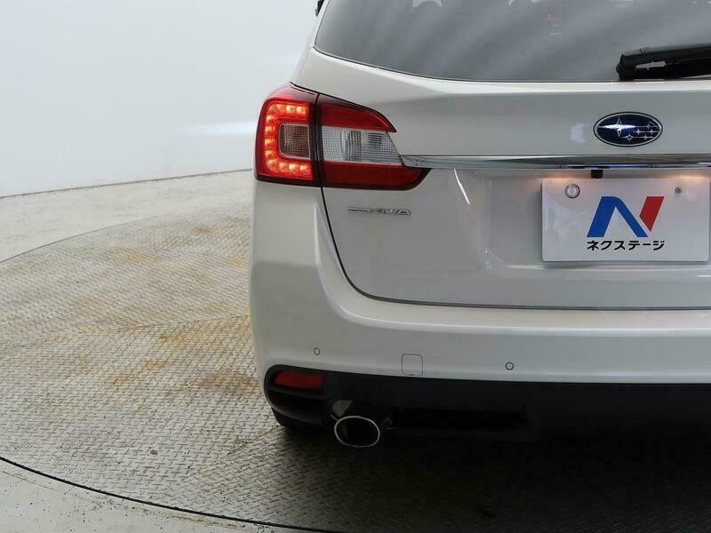 LEVORG-30