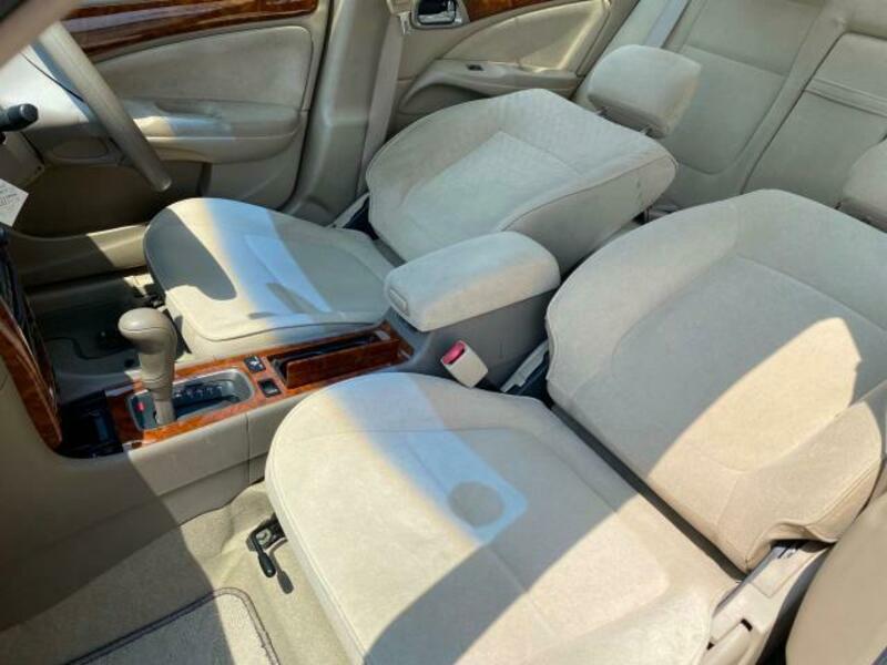 BLUEBIRD SYLPHY