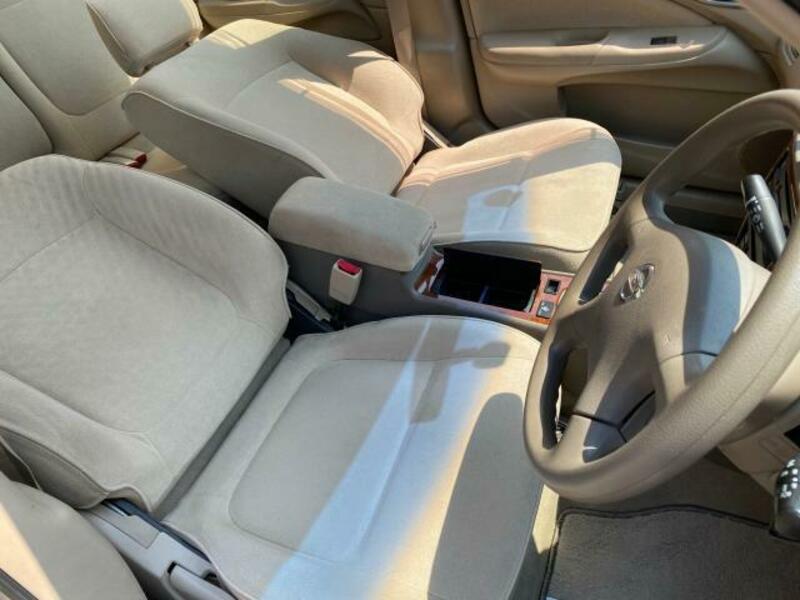 BLUEBIRD SYLPHY